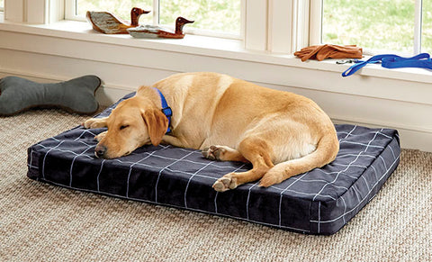 Orvis Dog Bed | ToughChew® Memory Foam Platform
